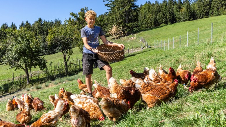 Organic farm Krottensee, © Theo Kust Organic farm Krottensee, © Theo Kust