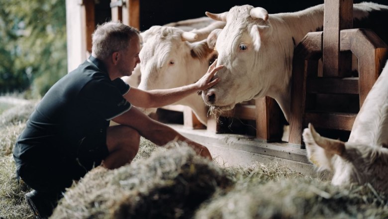Tavern & farm store Hauer, © Moststraße, dochbodnliacht Tavern & farm store Hauer, © Moststraße, dochbodnliacht