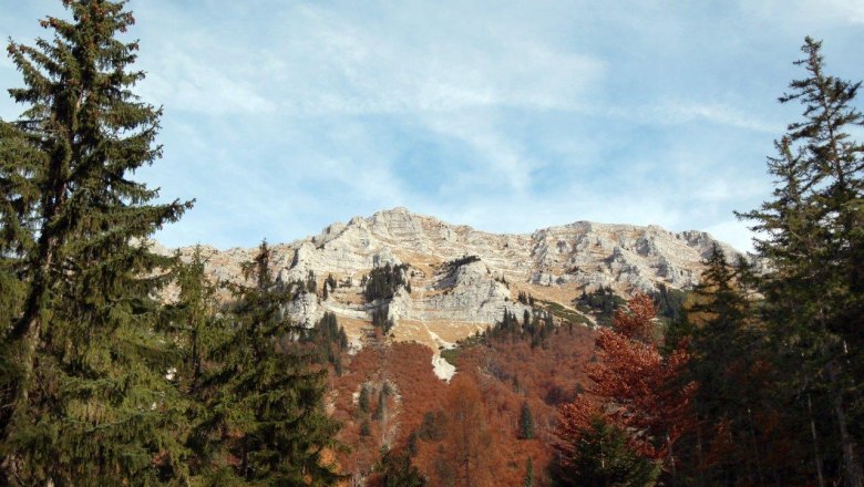Dürrenstein, © weinfranz.at Mountain landscape with the Dürrenstein in the background, surrounded by conifers and autumn-colored foliage.