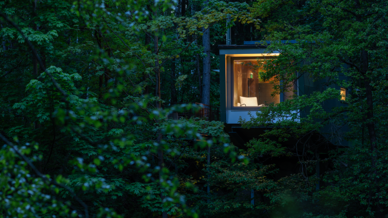 edelførst tree houses, © Robert Tober An illuminated tree house in a dense forest at dusk.