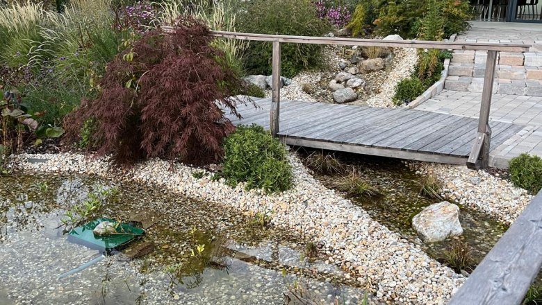 Pond in front of the BAG canteen, © Christian Floh Pond in front of the BAG canteen, © Christian Floh