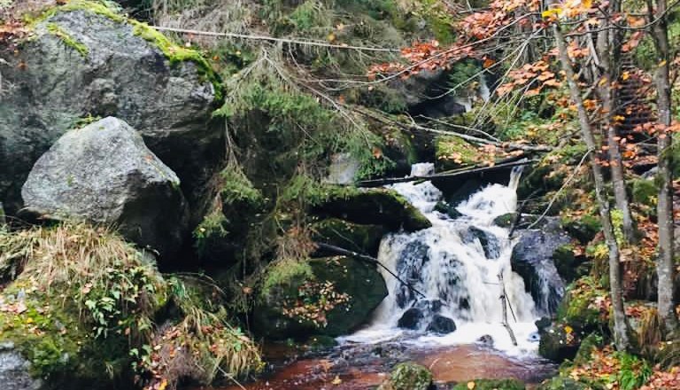 hello. The vacation apartment., © hello. Die Ferienwohnung. Foto: Mitch Peciakowski hello. The vacation apartment., © hello. Die Ferienwohnung. Foto: Mitch Peciakowski