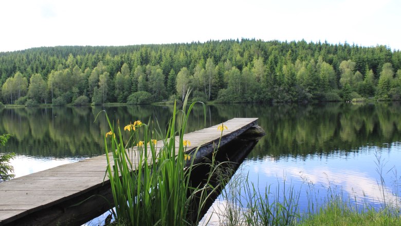 Schlesinger pond, © Tourismusverein Bärnkopf Schlesinger pond, © Tourismusverein Bärnkopf