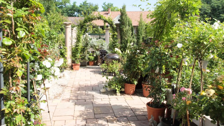 Nursery-Atzenbrugg, © Lederleitner A well-kept garden path with potted plants and flowers, flanked by columns and an archway, leads to a building with a tiled roof.
