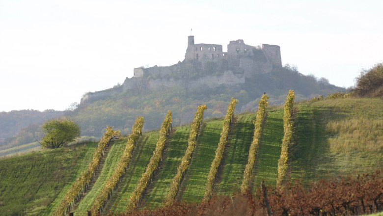 Falkenstein castle ruins, © Rudi Weiss Vineyards with Falkenstein castle ruins in the background.