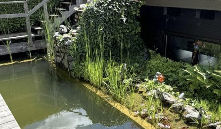 Biotope with waterfall, © Haus Anton Small biotope behind the house