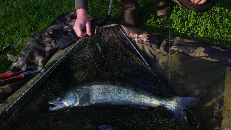 IMG_20210523_184344~2, © Gemeinde Pölla IMG_20210523_184344~2, © Gemeinde Pölla