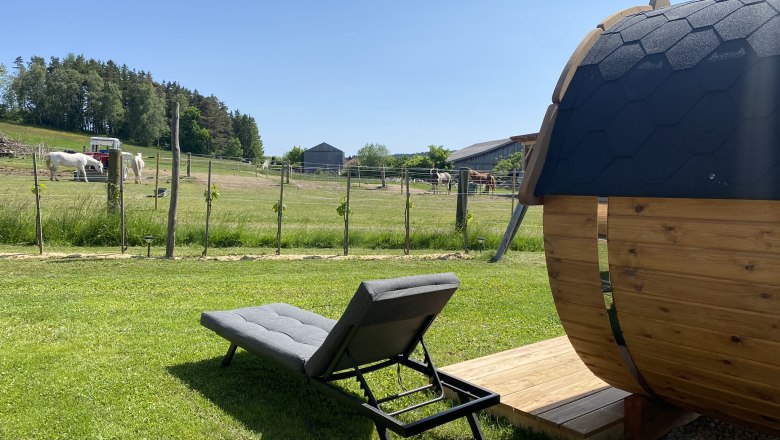 View of the paddock from the terrace, © Andreas Artner View of the paddock from the terrace, © Andreas Artner