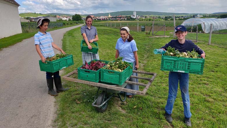At the vegetable field, © Gutes vom Gutshof At the vegetable field, © Gutes vom Gutshof