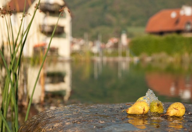 Bathing pond, © Residenz Wachau Pears on a stone at the edge of a pond with a blurred background.