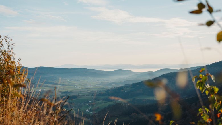 View into the Yspertal, © Waldviertel Tourismus, Line Sulzbacher View into the Yspertal, © Waldviertel Tourismus, Line Sulzbacher