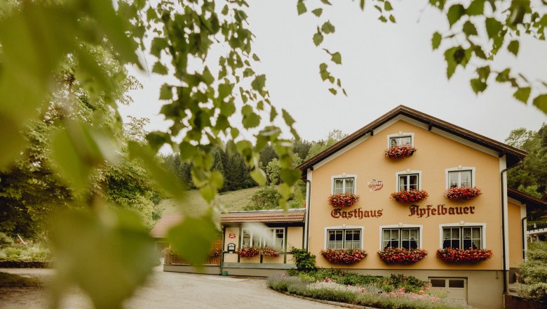 The Apfelbauer inn was built around 200 years ago, © Niederösterreich Werbung/Rita Newman A traditional inn with a yellow façade and flower boxes in front of the windows, surrounded by green trees.