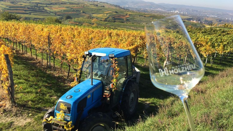 At work in the vineyard, © Winzerhof Holzheu Tractor in the vineyard