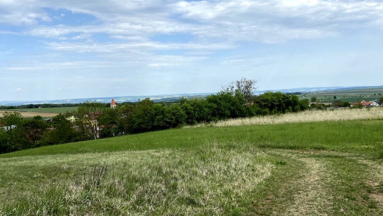 On the Hoad in Eggendorf am Walde, © Weinstraße Weinviertel Landscape with a green meadow, trees and a church tower in the background under a blue sky.