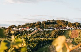 Wine cellar lane Galgenberg, © Niederösterreich Werbung / Romeo Felsenreich View of the Galgenberg wine cellar lane with vineyards in the foreground.