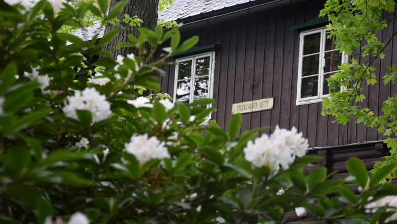 Rhododendron Speckbacher hut, © Karin Stranz Wooden hut behind flowering rhododendron bushes.