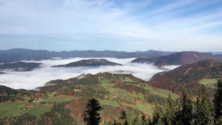View into the sea of fog, © Naturpark Hohe Wand View of a misty mountain landscape with green meadows and forests under a blue sky.