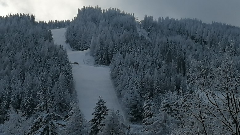 View of the ski slope, © Familien Mohr Snow-covered ski slope surrounded by dense, snow-covered trees.