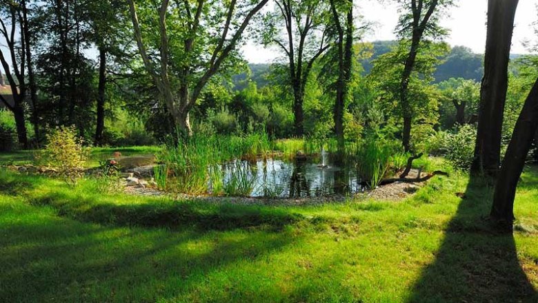 Historic park area, © Schlosspark/mesonic Historic park area, © Schlosspark/mesonic