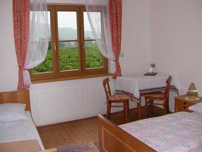 Room, © Emmerich Granner A simply furnished room with two beds, a table with two chairs and a window with a view of the green landscape.