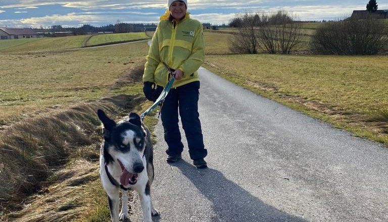 Husky hike, © Zauner 2023 Husky hike, © Zauner 2023