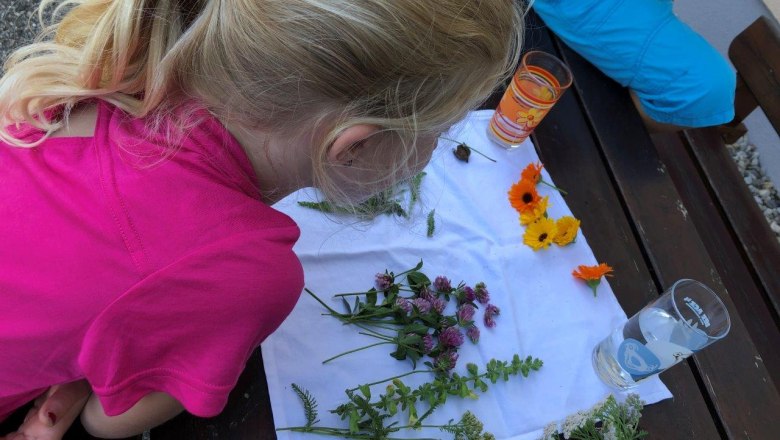 experiences-at-karnerhof, © Karnerhof experiences-at-karnerhof, © Karnerhof