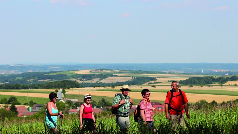 Hikers on the road "Auf da Hoad", © Stadtgemeinde Maissau Group of hikers on a country lane with a wide landscape in the background.