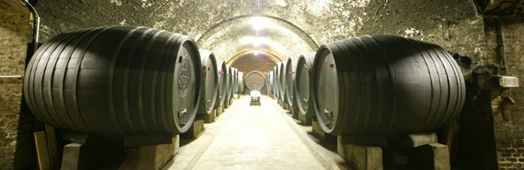 Wine barrels, © http://www.spaetrot.com A wine cellar with large wooden barrels on both sides of an illuminated corridor.