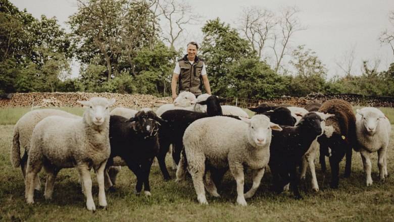 Inn with vegetable, beef and sheep farming, © Niederösterreich Werbung/Sophie Menegaldo A man stands behind a flock of sheep in a meadow with trees in the background.