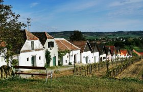 Small cellar drift in Haugsdorf, © Weinstraße Weinviertel Row of wine cellars in Haugsdorf with vines in the foreground and village in the background.