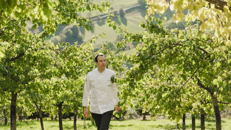 Inspection of our own apricot trees, © Niederösterreich Werbung/Michael Reidinger Roman Siebenhadl, dressed in white, walks through an orchard with green trees.