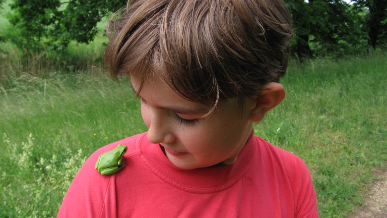 bird.show.places, © Nüsken A boy in a red T-shirt looks at a green frog on his shoulder. A green meadow can be seen in the background.