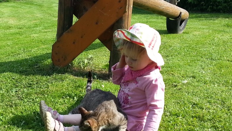 Cuddly cat, © Lothspieler Cuddly cat, © Lothspieler