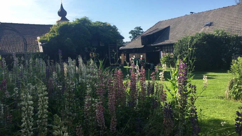 Garden, © Peter Brezina Garden, © Peter Brezina