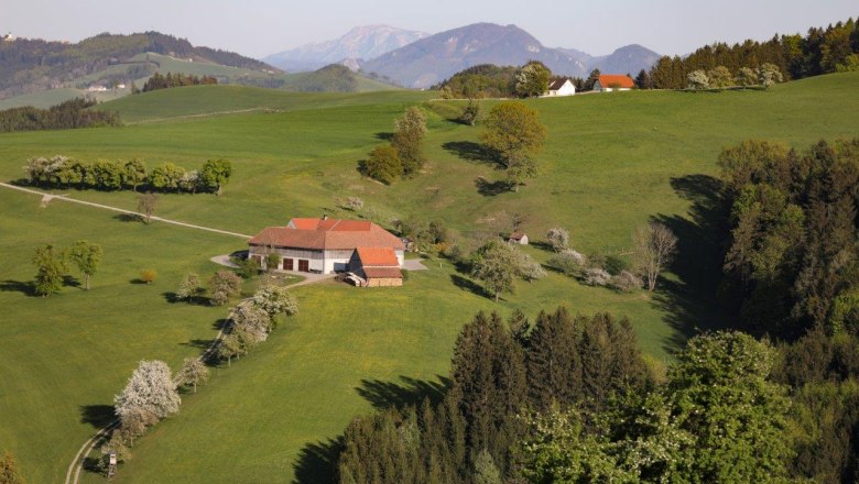 Photo point Vierkanter, © schwarz-koenig.at Photo point Vierkanter, © schwarz-koenig.at