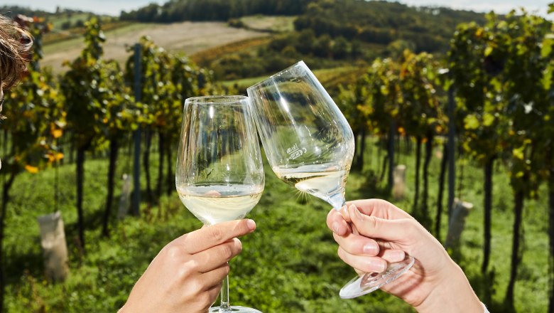 Toasting in the vineyard, © Weinviertel Tourismus / Michael Liebert Two people clink glasses in a vineyard.