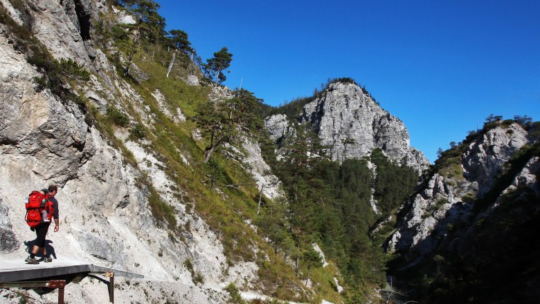 Hiking in the Ötschergräben, © weinfranz.at Person hikes along a narrow path in the Ötschergräben, surrounded by steep rock faces and pine trees, under a clear blue sky.