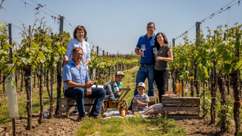 Viticulture Maier, © Weinbau Maier Viticulture Maier, © Weinbau Maier