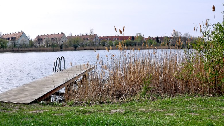 Ocean, © Marktgemeinde Guntramsdorf Ocean, © Marktgemeinde Guntramsdorf