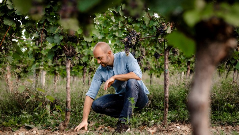 Winery Jatschka, © Astrid Bartl Man in blue shirt kneels in a vineyard and touches the ground.