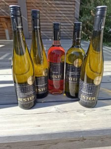 5-Goldene-2025-Winegrowing Rester, © Weinbau Rester 5-Goldene-2025-Winegrowing Rester, © Weinbau Rester