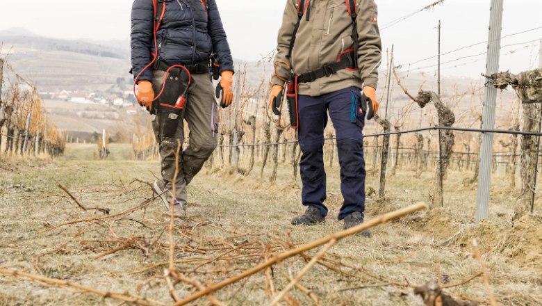 Holzheu Weinhof 4 new, © ELISABETH FRÖHLICH photography Pruning in winter