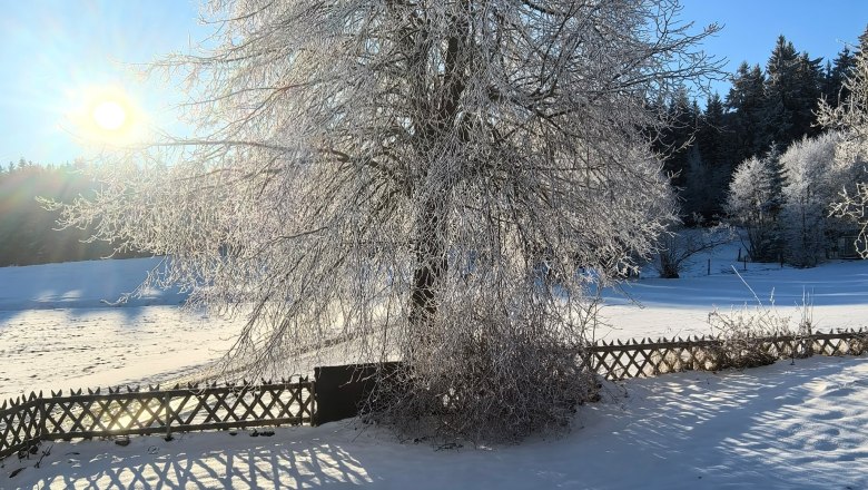 The magical world in Langschlag 22, © Starkl Thomas The magical world in Langschlag 22, © Starkl Thomas