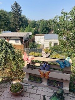 seacamping butterflies, © Wienerwald Tourismus seacamping butterflies, © Wienerwald Tourismus