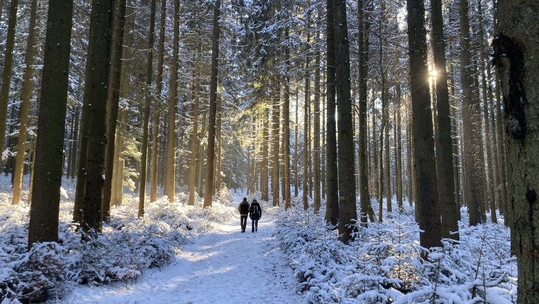 Winter hiking in the Weinsberg forest, © Dieter Juster Winter hiking in the Weinsberg forest, © Dieter Juster