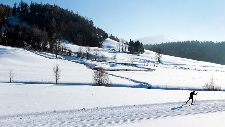 Cross-country skiing in St. Aegyd, © weinfranz.at Cross-country skiing in St. Aegyd, © weinfranz.at