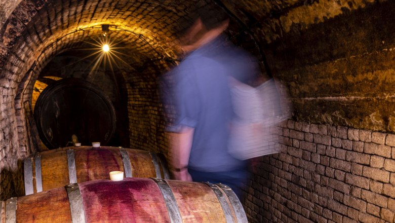 The cellar in the Haugsdorfer Kellertrift, © Rainer Friedl Blurred person in a wine cellar with wooden barrels and brick walls.
