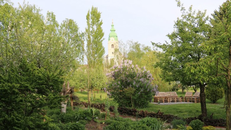 Anger gardens, © Wolfgang Gerzer A green garden with trees, shrubs and a church tower in the background.