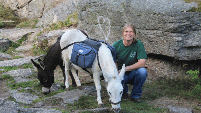Holzmühle Inn & Pony Farm, © Birgit Taxböck Holzmühle Inn & Pony Farm, © Birgit Taxböck