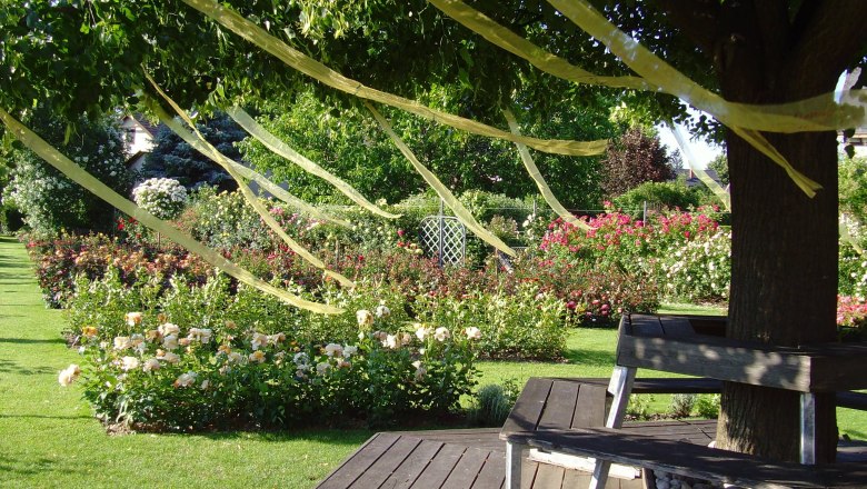 Idyllic seating invites you to linger, © Rosengarten Pitten A garden with blooming roses, benches under a tree and yellow ribbons in the branches.